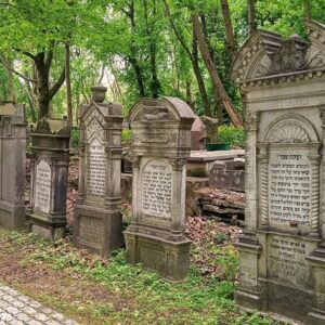 Genealogia Żydowska – Pakiet Start